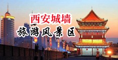 狗肏淫女中国陕西-西安城墙旅游风景区